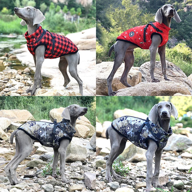 Dog Winter Waterproof Jacket