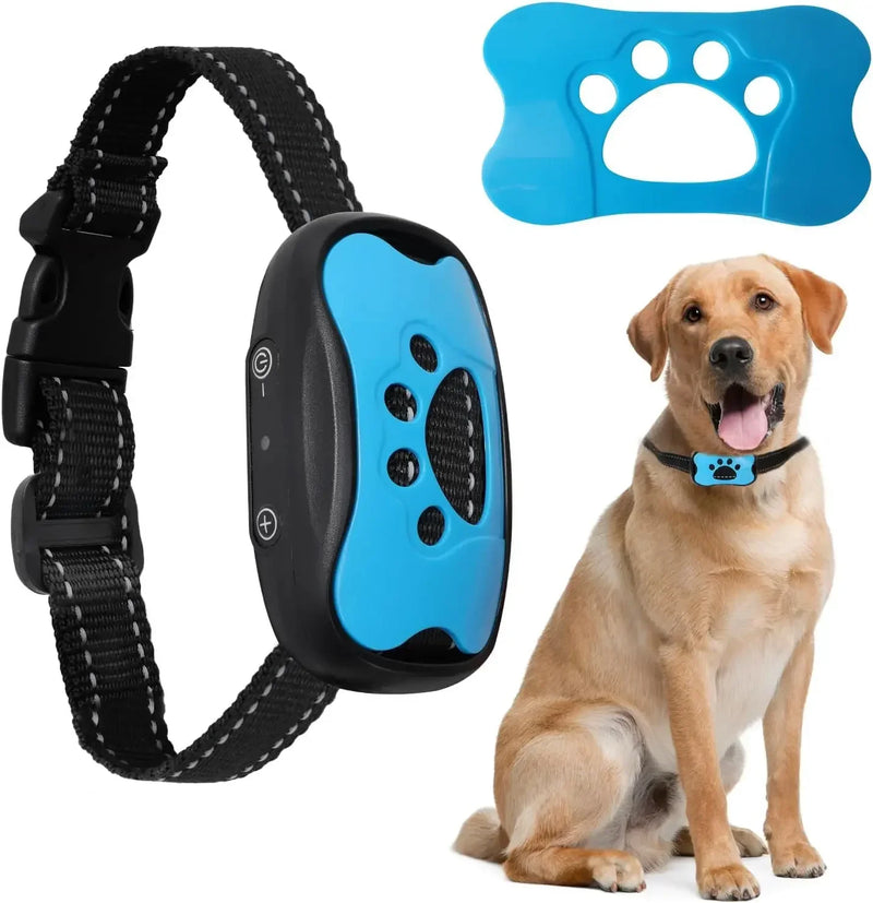 Top Pet Toys 2025