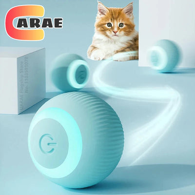 Cat Electric Automatic Rolling Ball