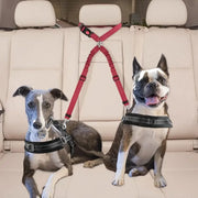 Double Dog Restraint Safety Seatbelt