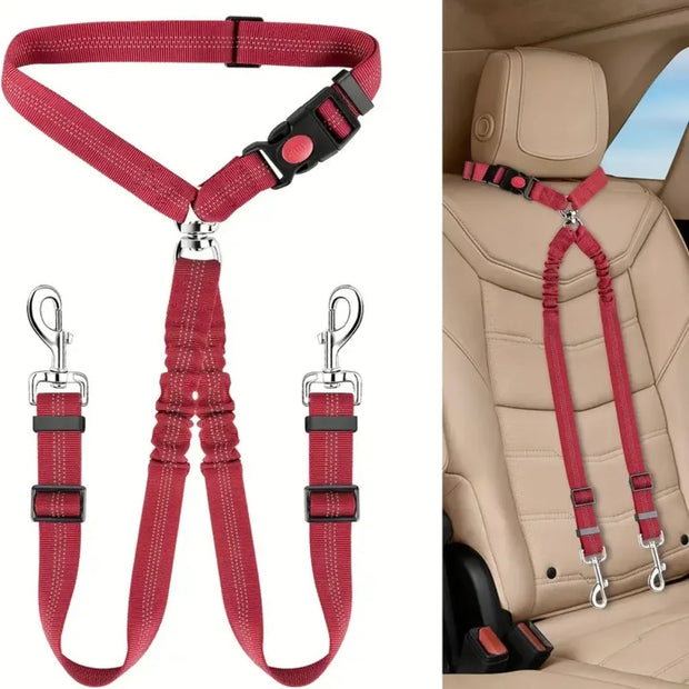 Double Dog Restraint Safety Seatbelt