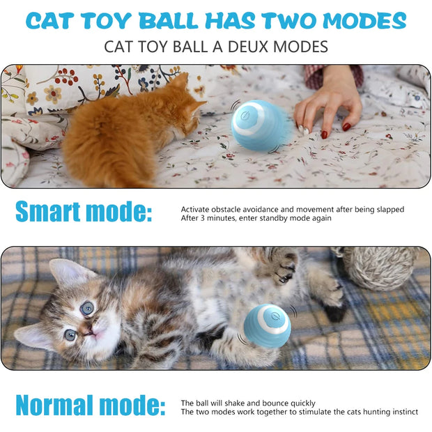 Cat Electric Automatic Rolling Ball