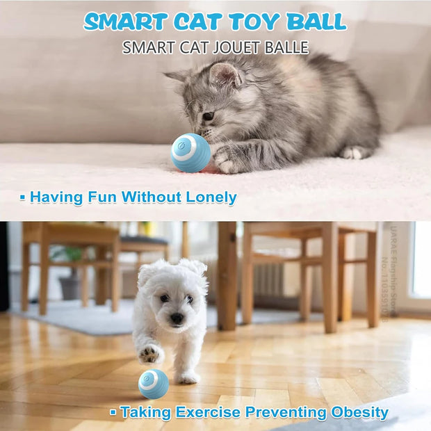 Cat Electric Automatic Rolling Ball