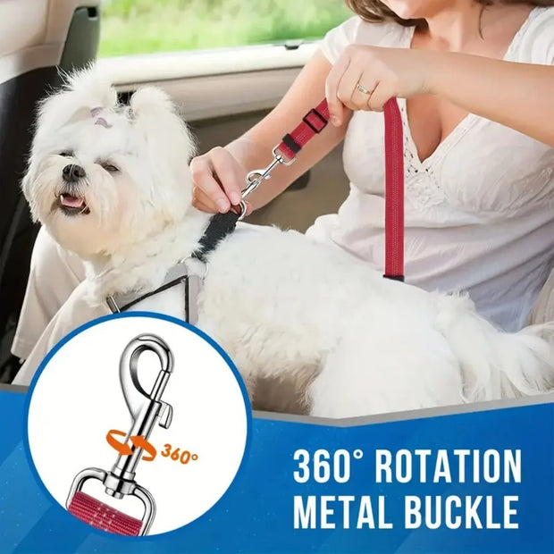 Double Dog Restraint Safety Seatbelt