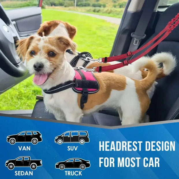 Double Dog Restraint Safety Seatbelt