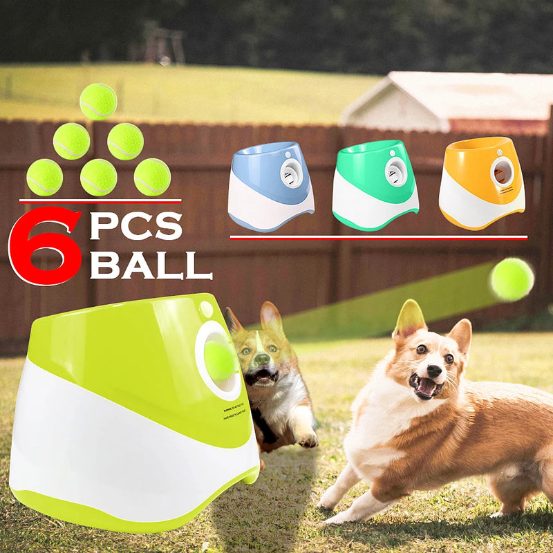 Top Pet Toys 2025
