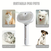 Pet Spray Hair Remover Cleaning Brush