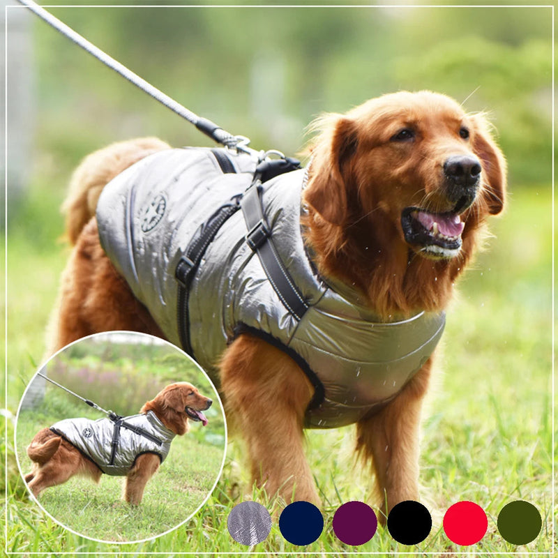 Dog Winter Waterproof Jacket My Store
