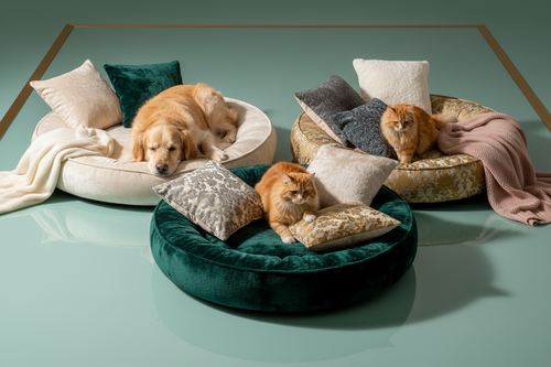 Luxury photorealistic cozy beds on mint-green reflective surface with gold border. Plush beds, pillows, blankets. Golden retriever and cat lounging naturally. Soft highlights, luxury lighting, sharp shadows. No blur, noise, text, or watermark.