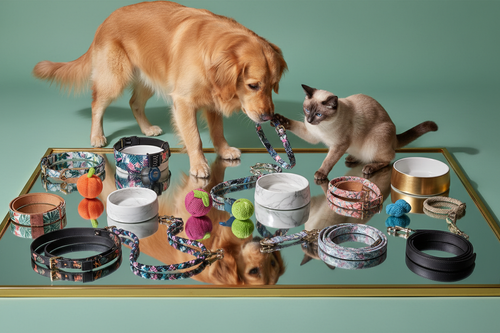 Luxury photorealistic display of fun pet accessories on mint-green reflective surface with gold border. Include colorful collars, toys, bowls, and leashes — hyper-realistic. Golden retriever and cat interacting naturally. Soft highlights, luxury lighting, sharp shadows. No blur, noise, text, or watermark.