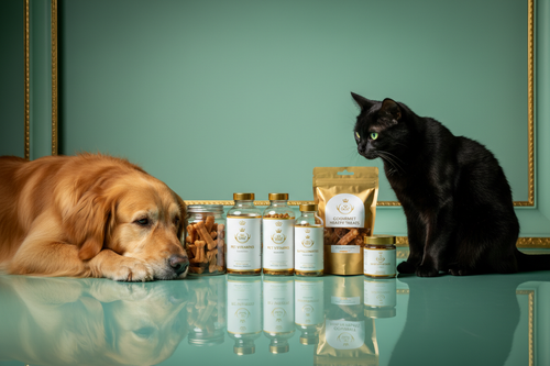 Luxury photorealistic display of pet care products on mint-green reflective surface with gold border. Include vitamins, supplements, dental chews, and health treats — hyper-realistic. Golden retriever and cat interacting naturally. Soft highlights, luxury lighting, sharp shadows. No blur, noise, text, or watermark.